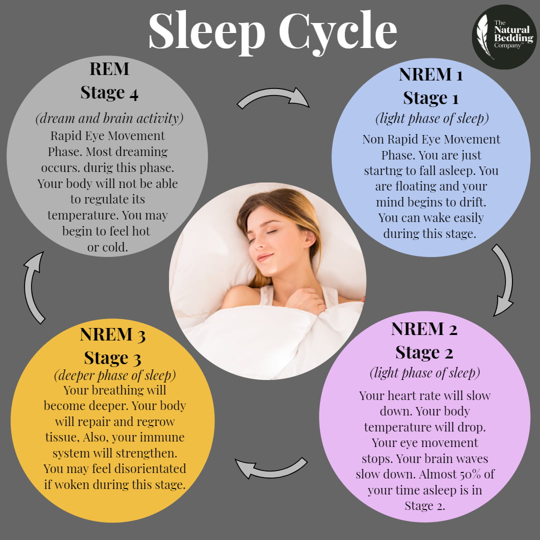 What is a Sleep Cycle?